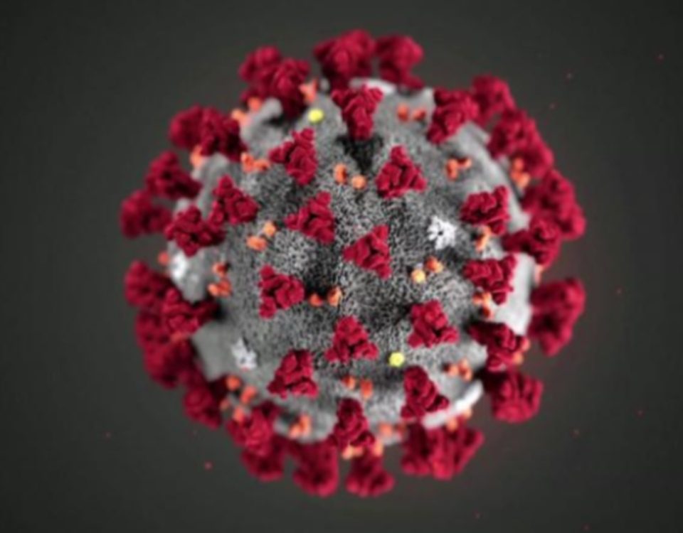 Impacto do novo coronavírus (Covid-19) nos bares e restaurantes do Brasil